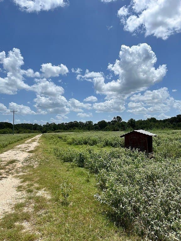 134.33 acres in Fayette County - photo 15