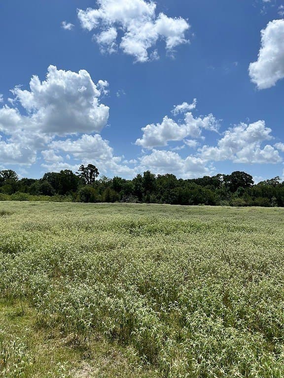 134.33 acres in Fayette County - photo 16