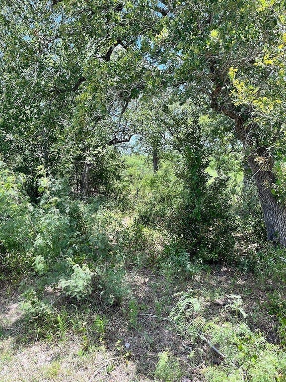 134.33 acres in Fayette County - photo 5