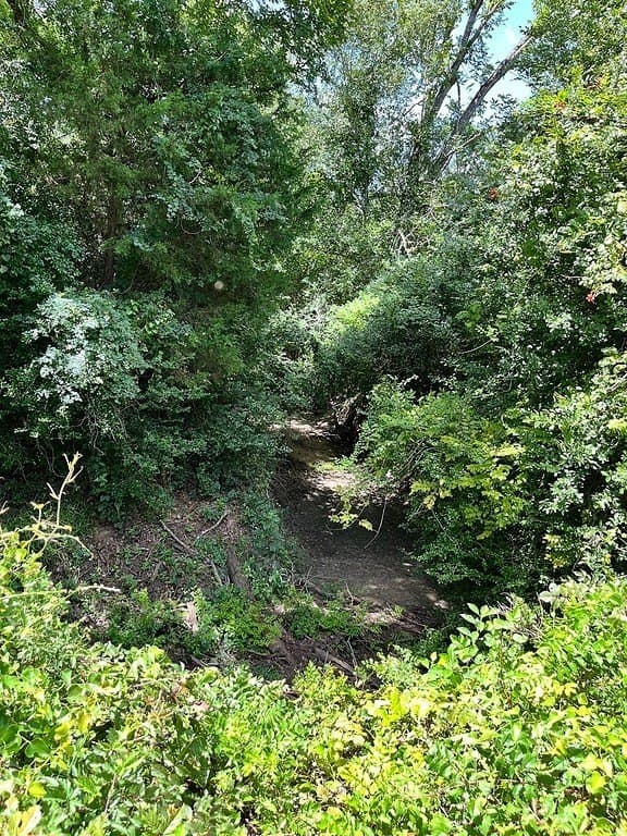 134.33 acres in Fayette County - photo 11