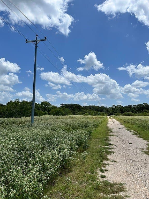 134.33 acres in Fayette County - photo 14