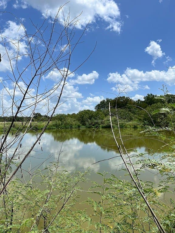 134.33 acres in Fayette County - photo 6