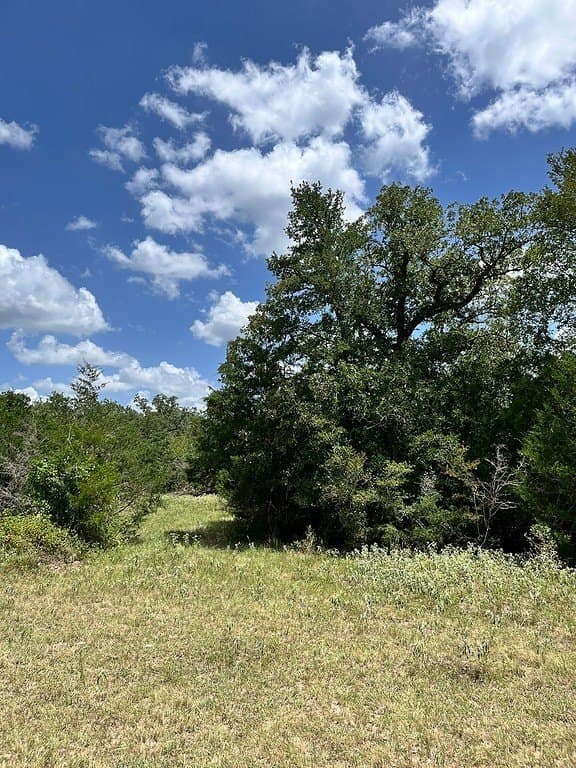 134.33 acres in Fayette County - photo 10