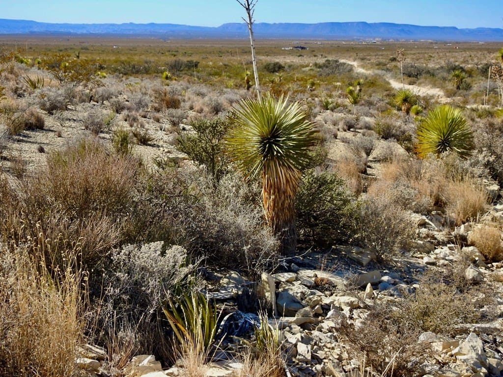 40 acres in Brewster County - photo 10