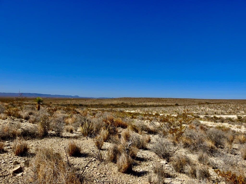 40 acres in Brewster County - photo 18