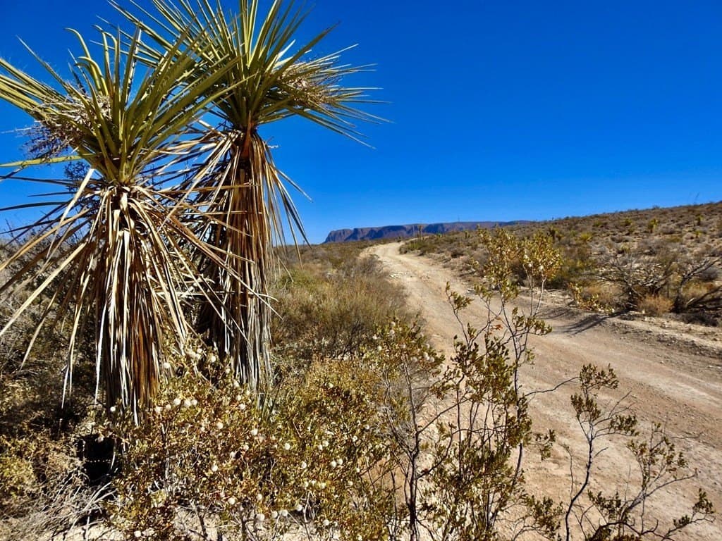 40 acres in Brewster County - photo 37