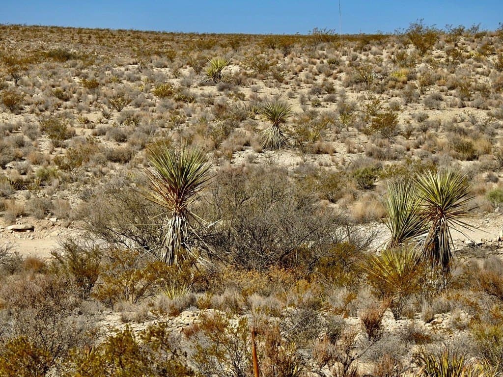 40 acres in Brewster County - photo 9