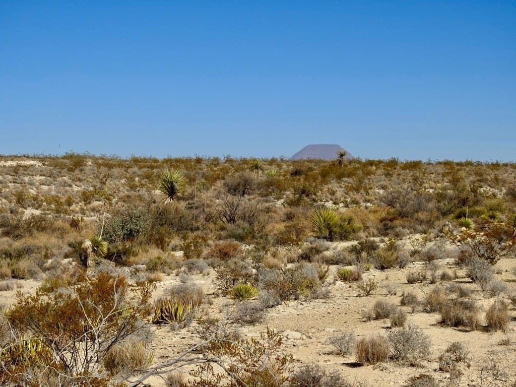 40 acres in Brewster County - photo 14