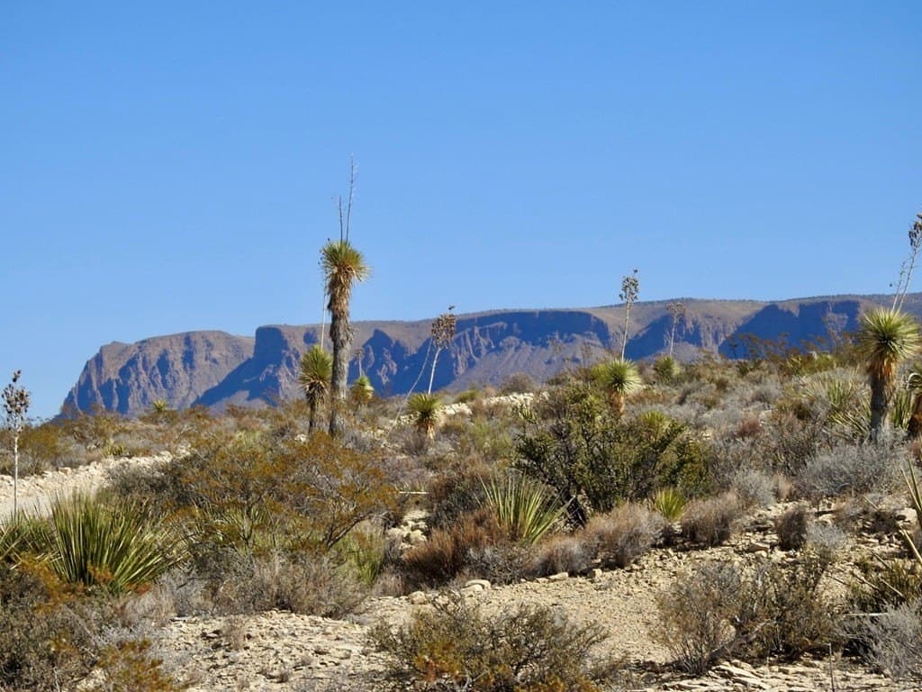 40 acres in Brewster County - photo 5