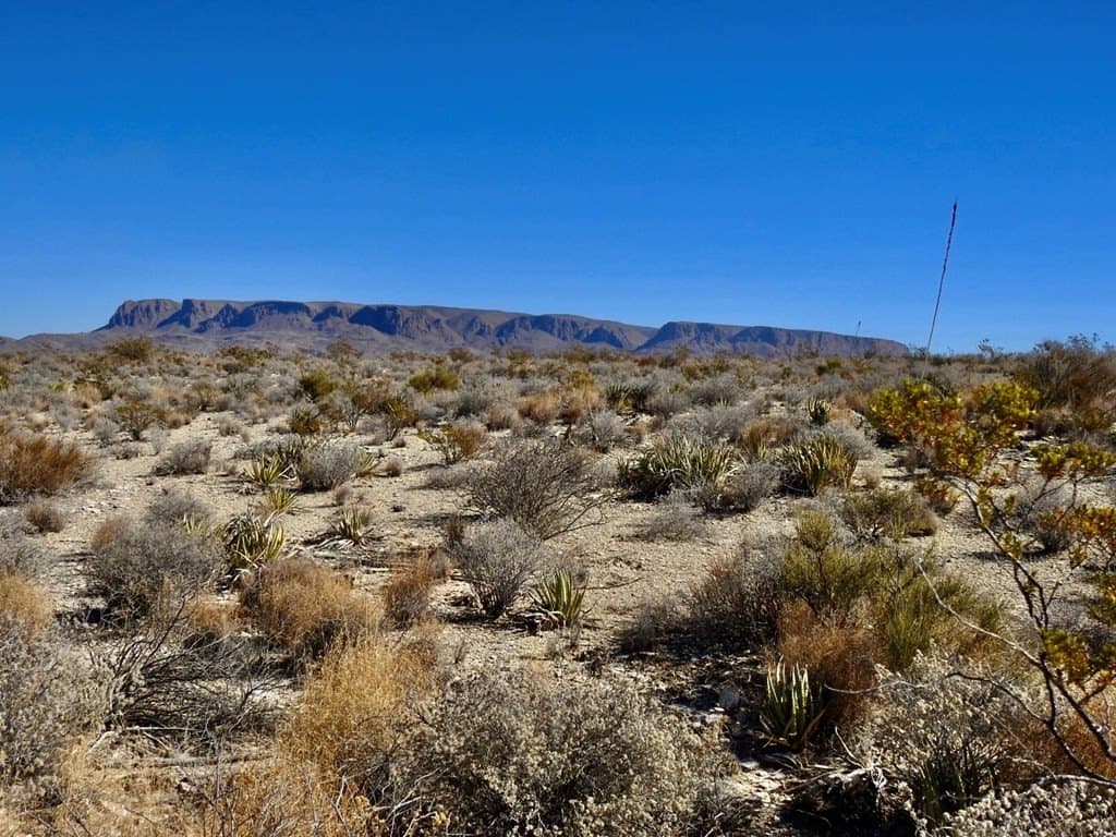 40 acres in Brewster County - photo 21