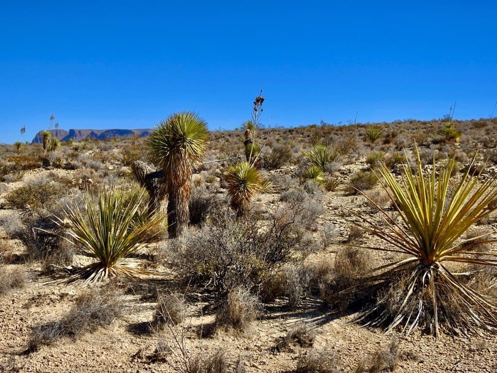 40 acres in Brewster County - photo 7