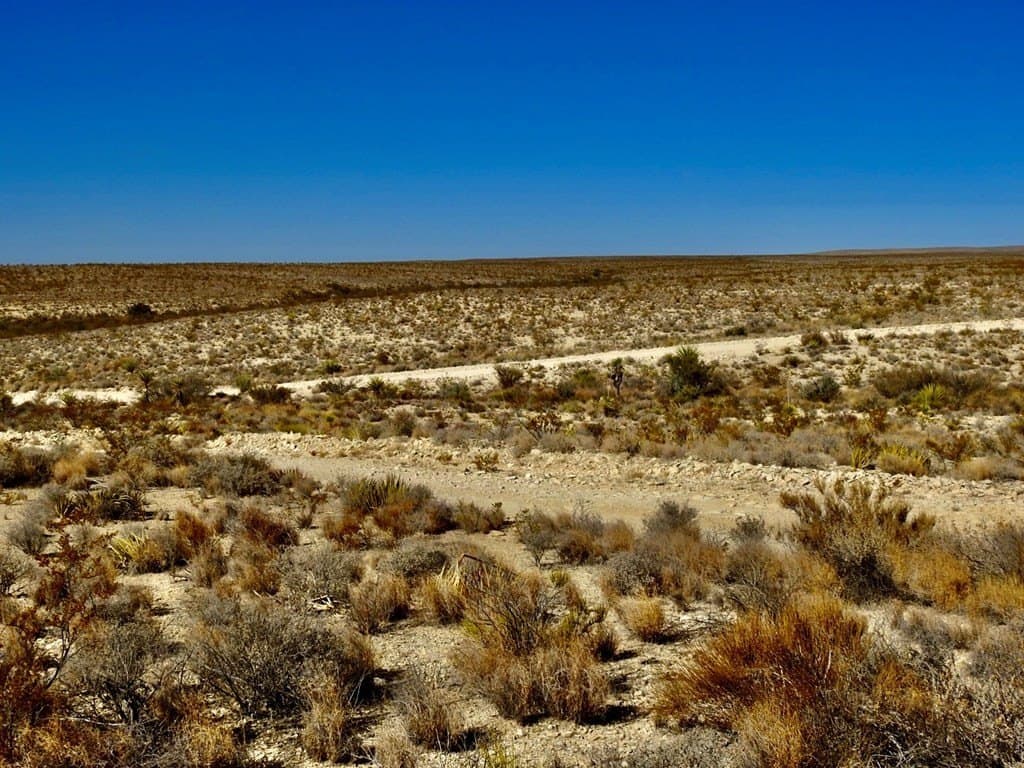 40 acres in Brewster County - photo 19
