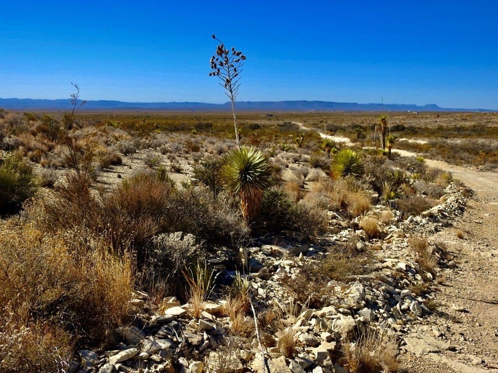 40 acres in Brewster County - photo 11