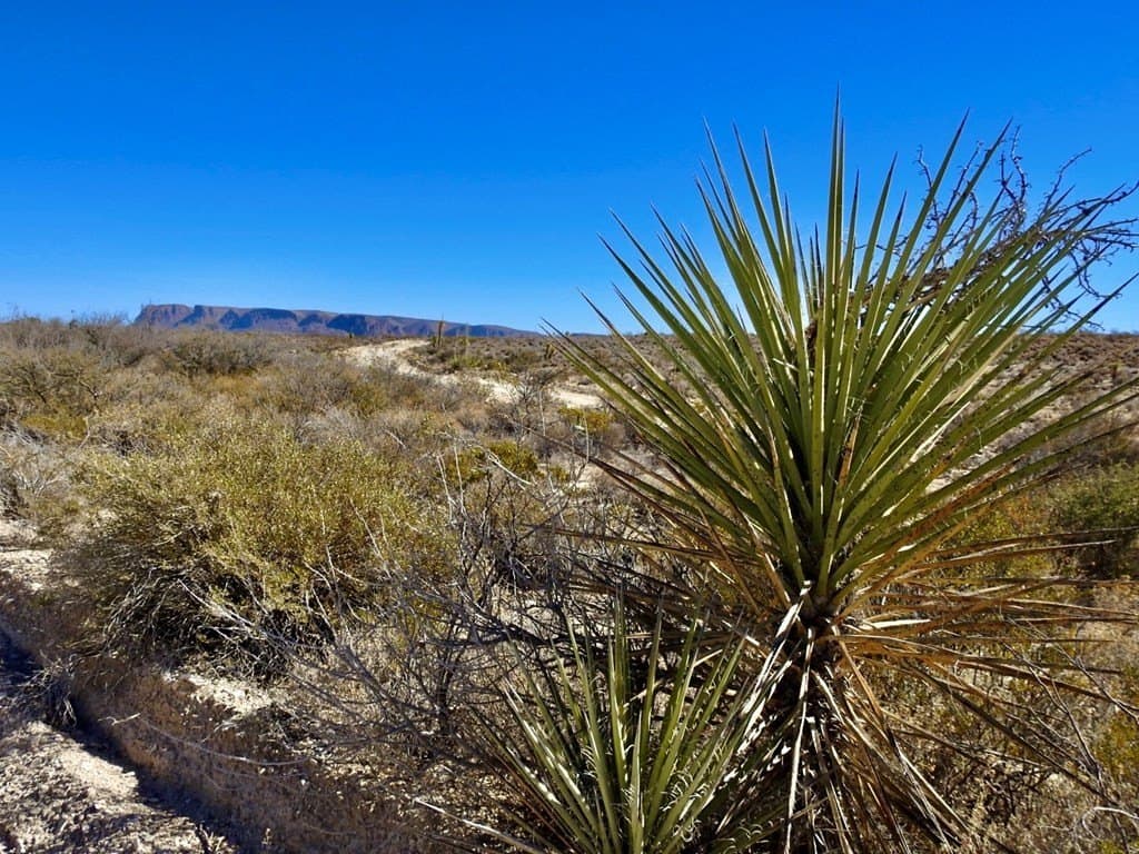 40 acres in Brewster County - photo 24