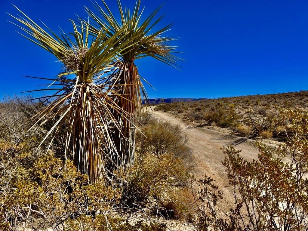 40 acres in Brewster County - photo 23