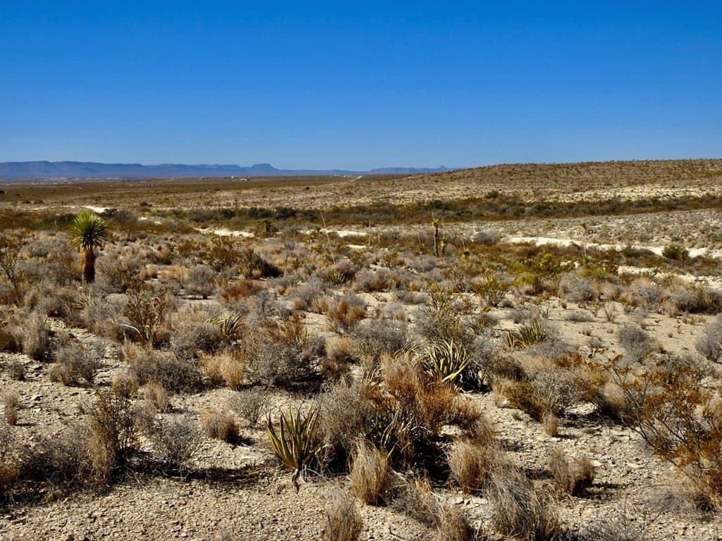 40 acres in Brewster County - photo 16