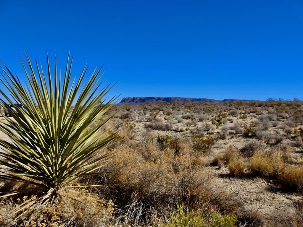 40 acres in Brewster County - photo 15
