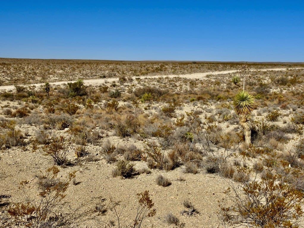 40 acres in Brewster County - photo 13
