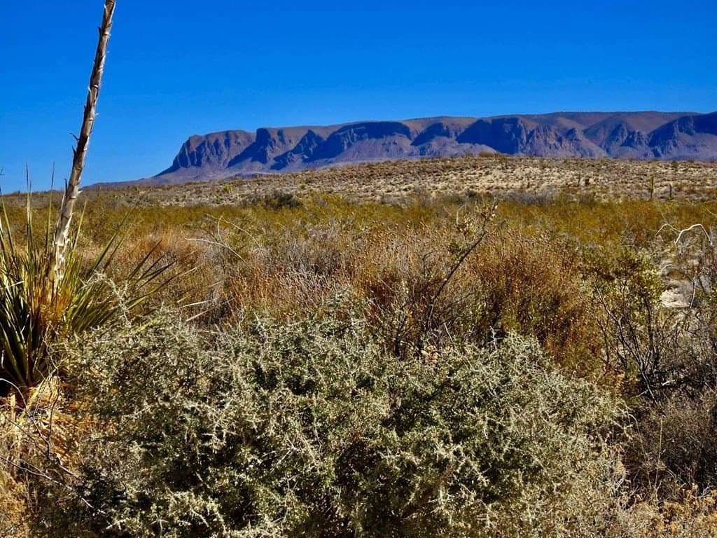 40 acres in Brewster County - photo 25