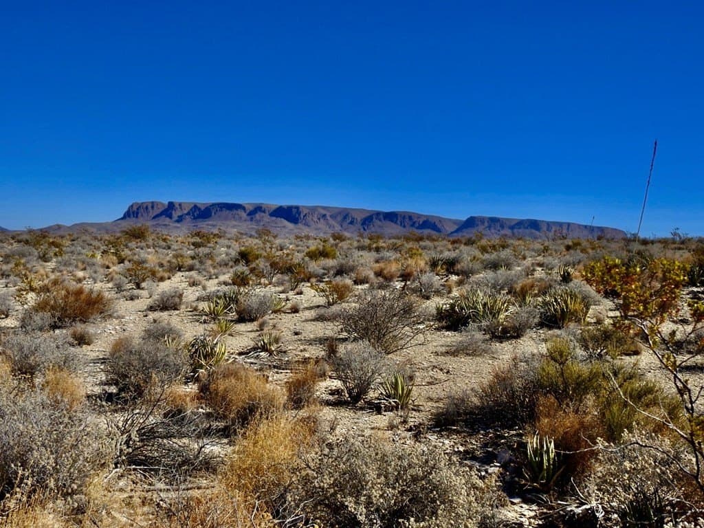 40 acres in Brewster County - photo 20