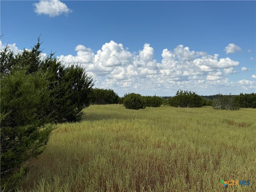 10.01 acres in Hamilton County - photo 3