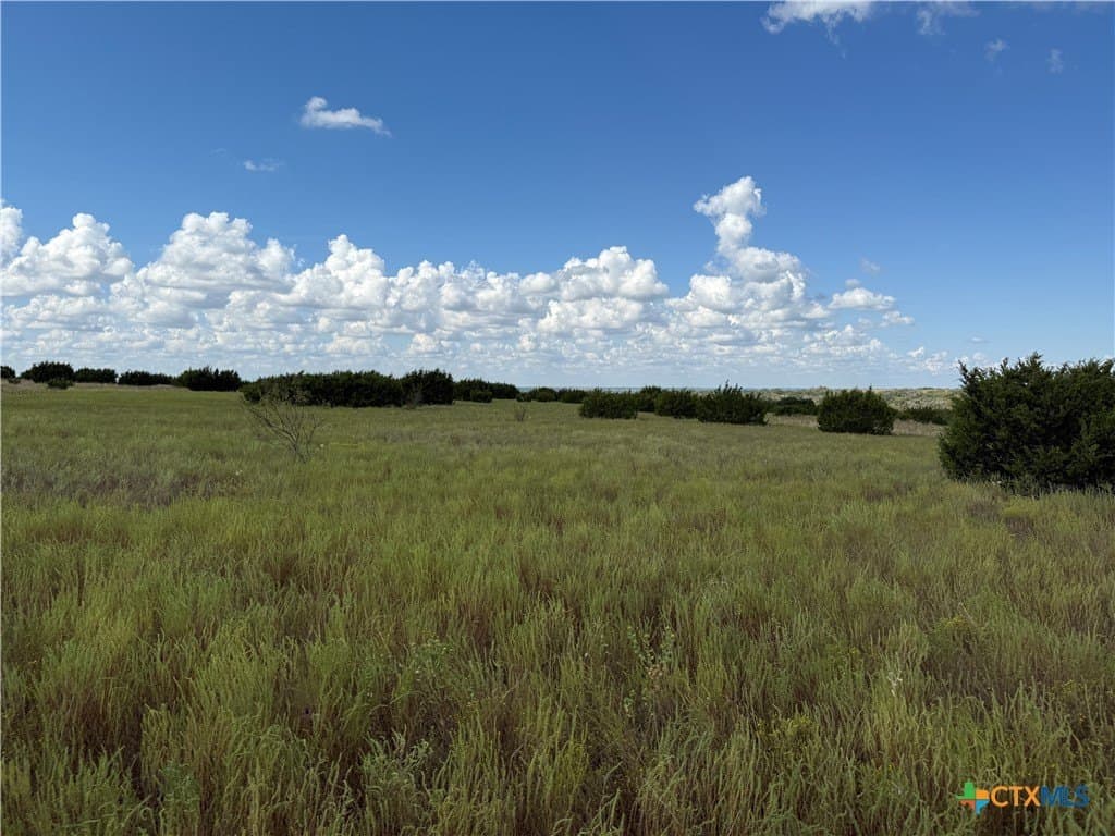 10.01 acres in Hamilton County - photo 9