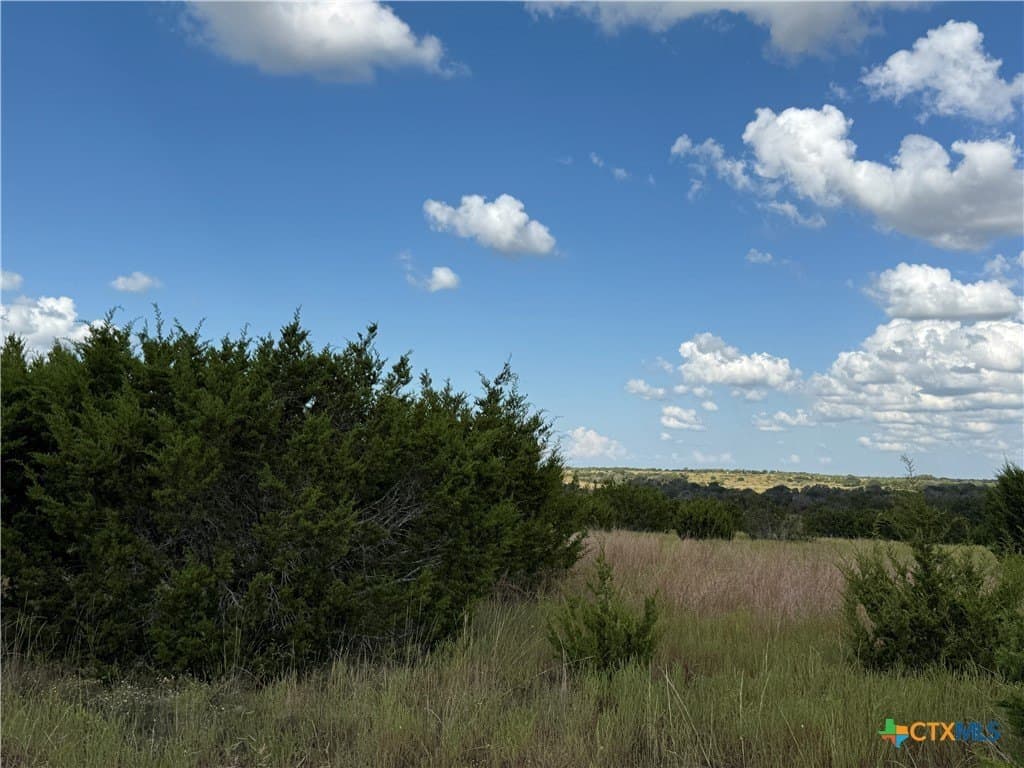 10.01 acres in Hamilton County - photo 11