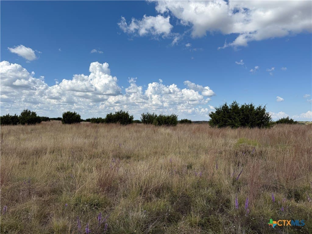 10.01 acres in Hamilton County - photo 10