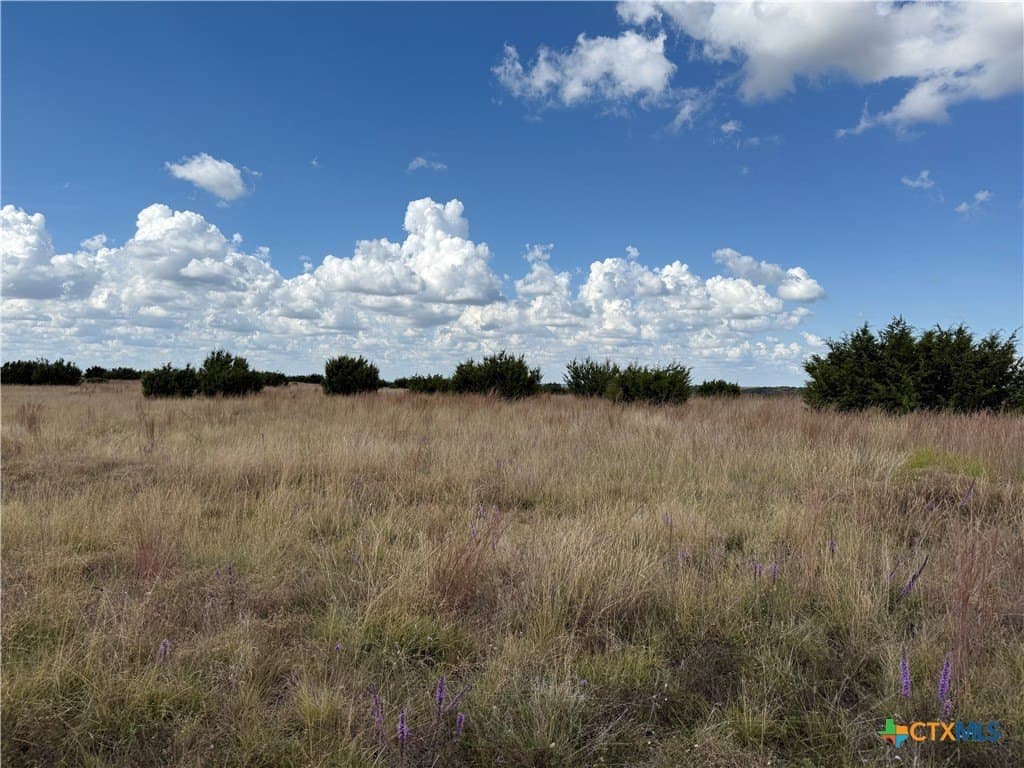 10.01 acres in Hamilton County - photo 13