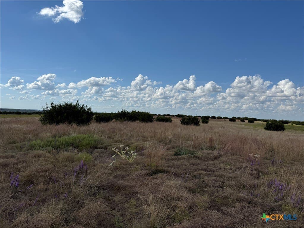 10.01 acres in Hamilton County - photo 6