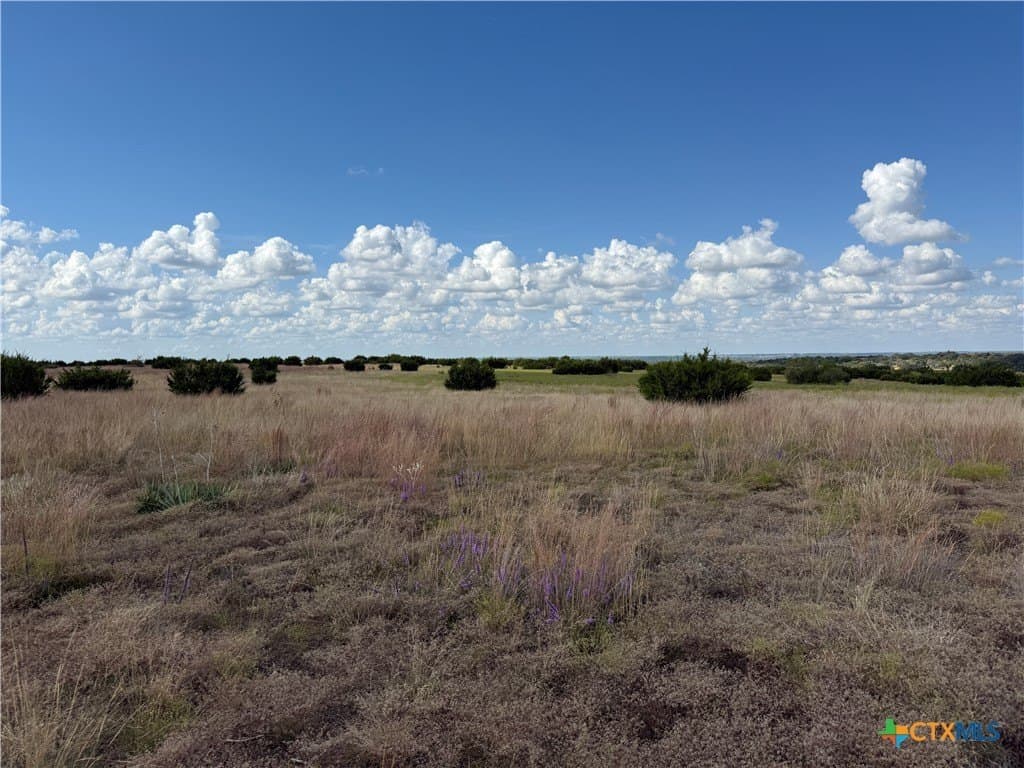 10.01 acres in Hamilton County - photo 4