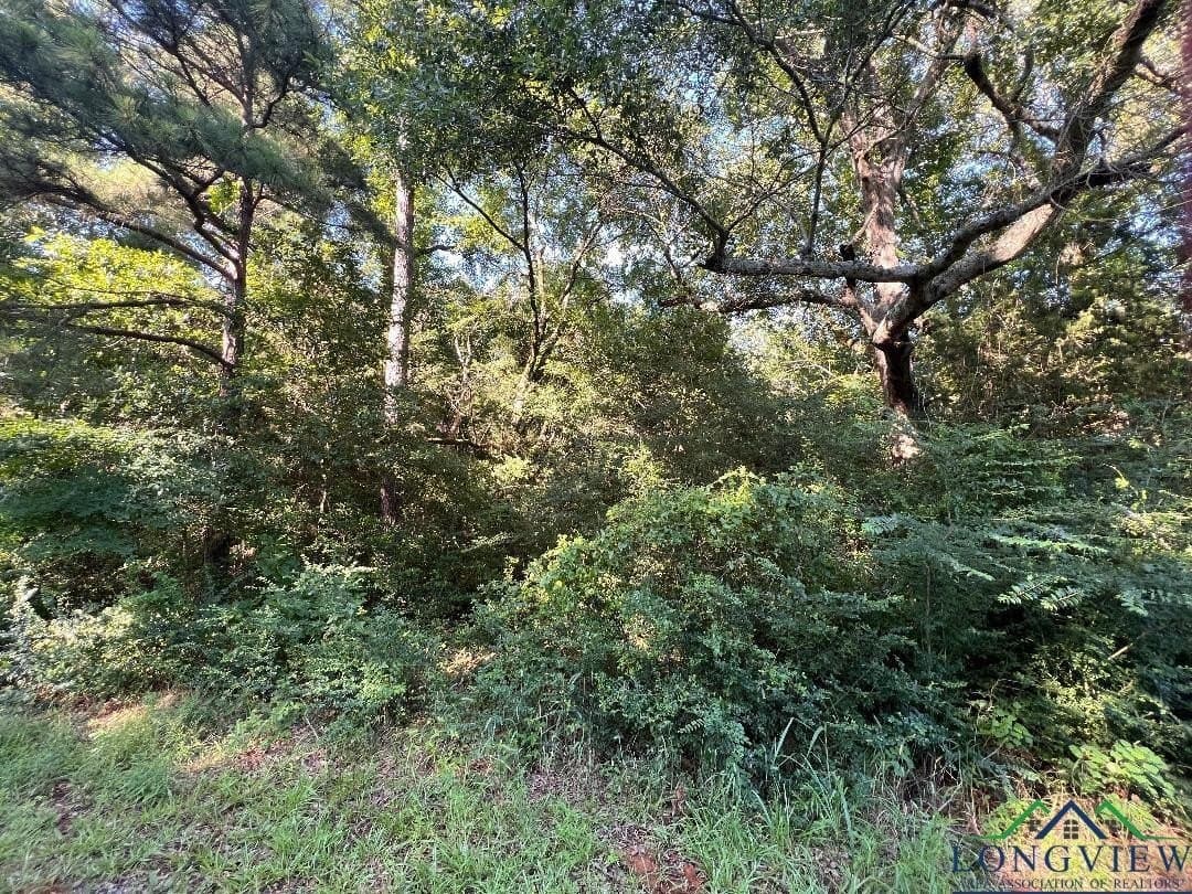 31.52 acres in Texas County - photo 4