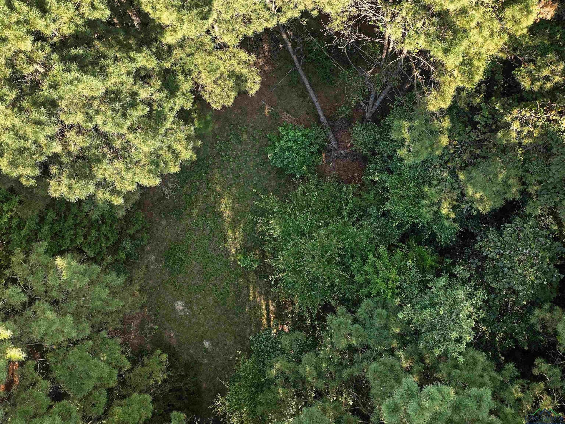 31.52 acres in Texas County - photo 10