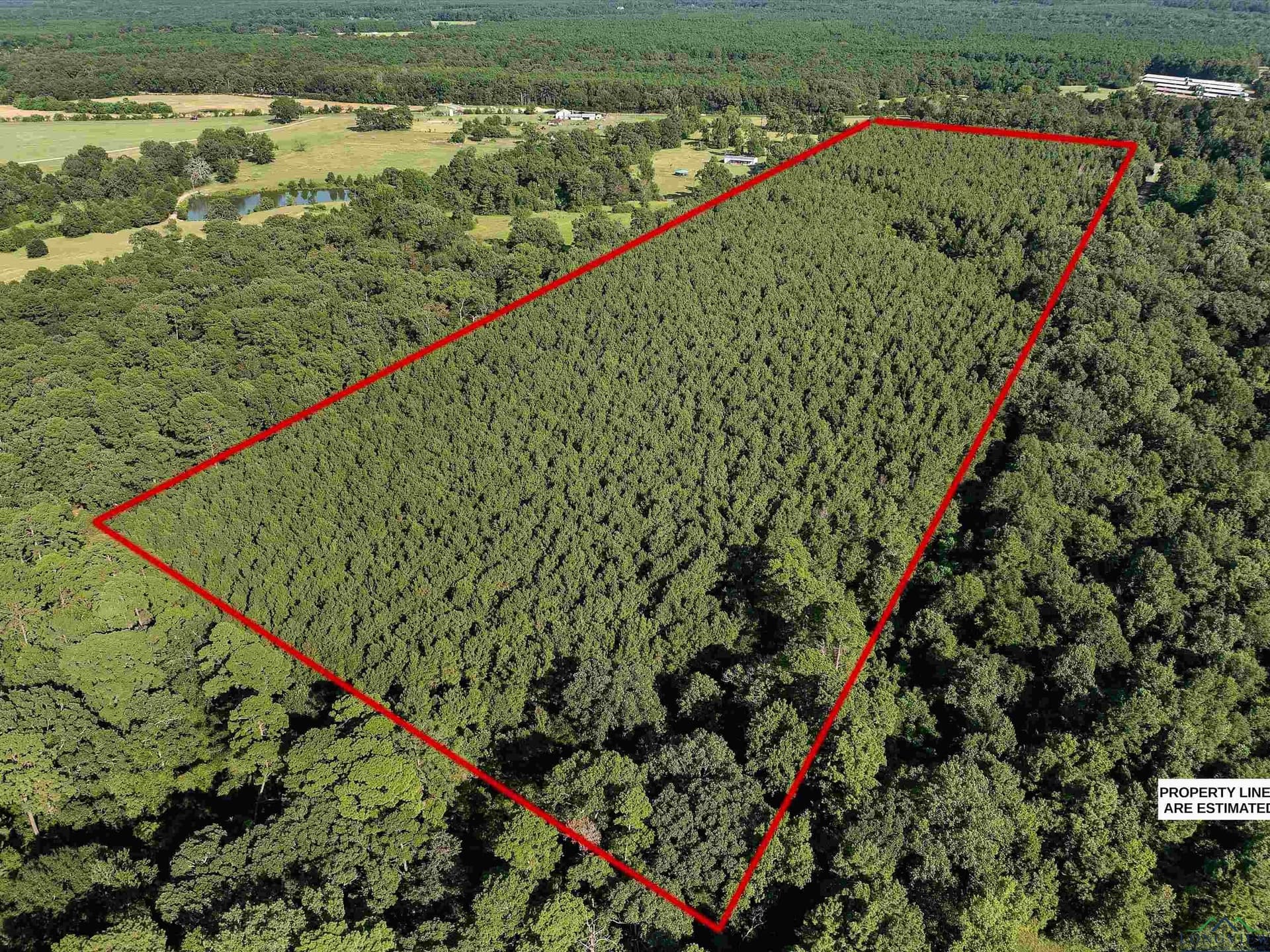 31.52 acres in Texas County - photo 18