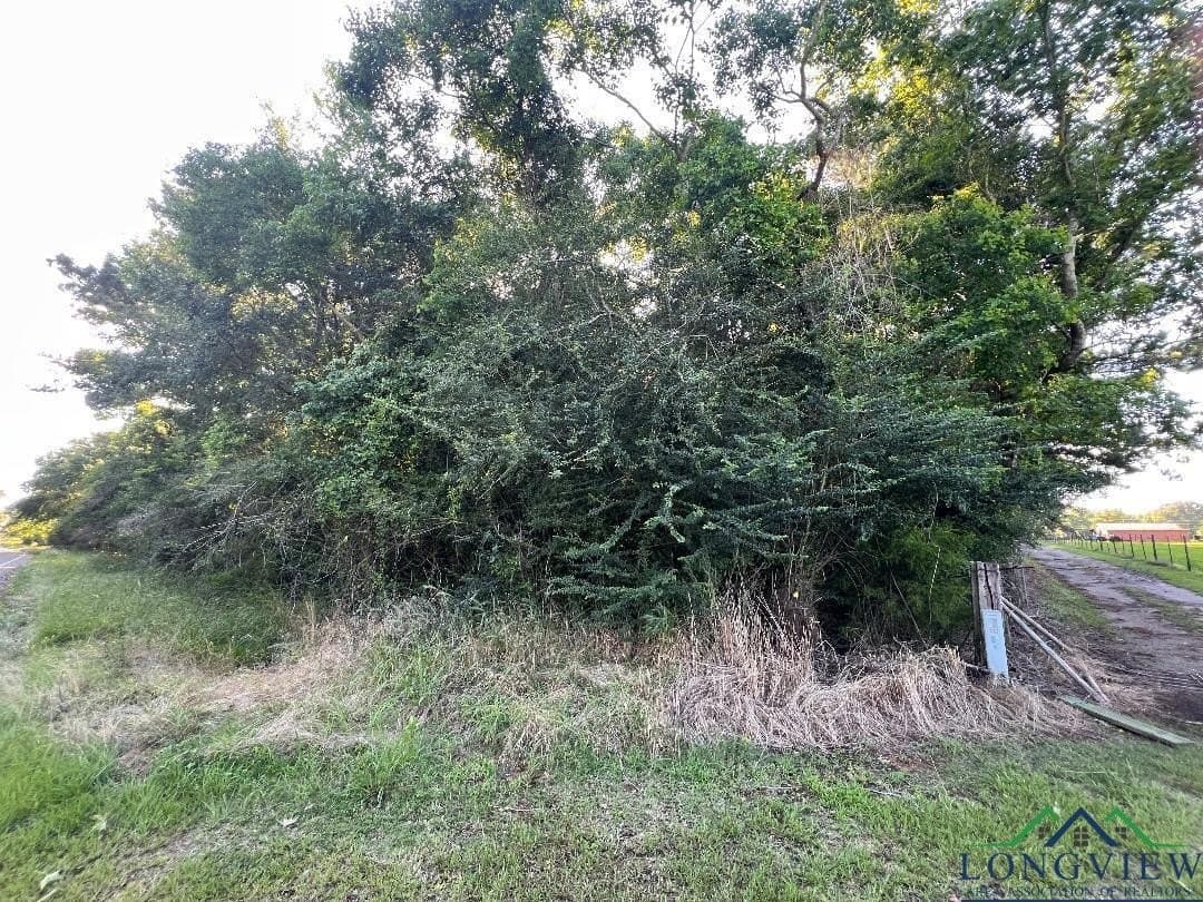 31.52 acres in Texas County - photo 7