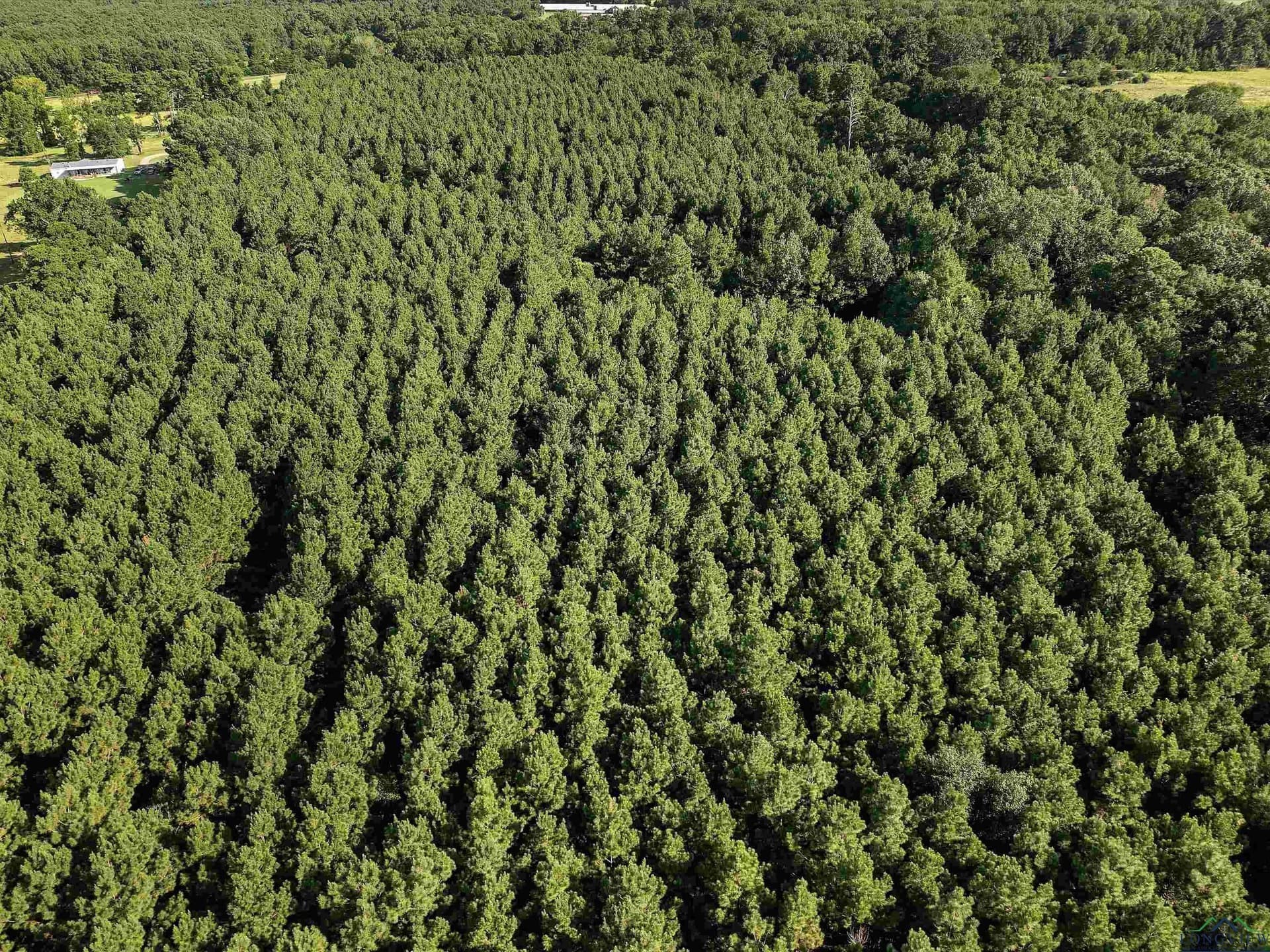 31.52 acres in Texas County - photo 11