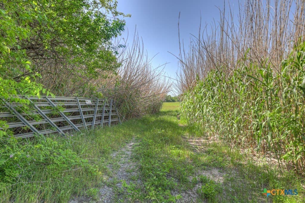 24.07 acres in Caldwell County - photo 4