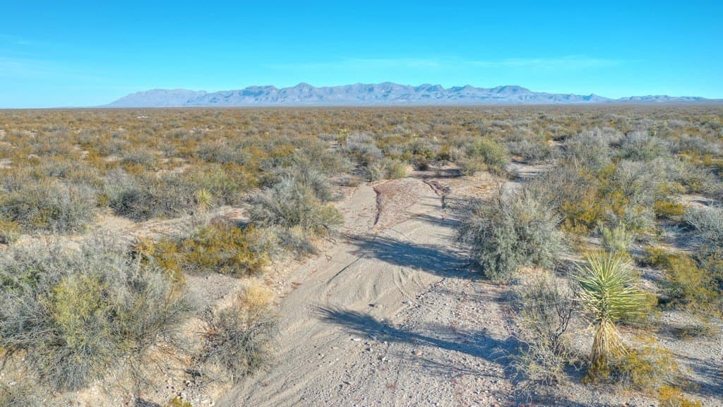 20 acres in Presidio County - photo 2