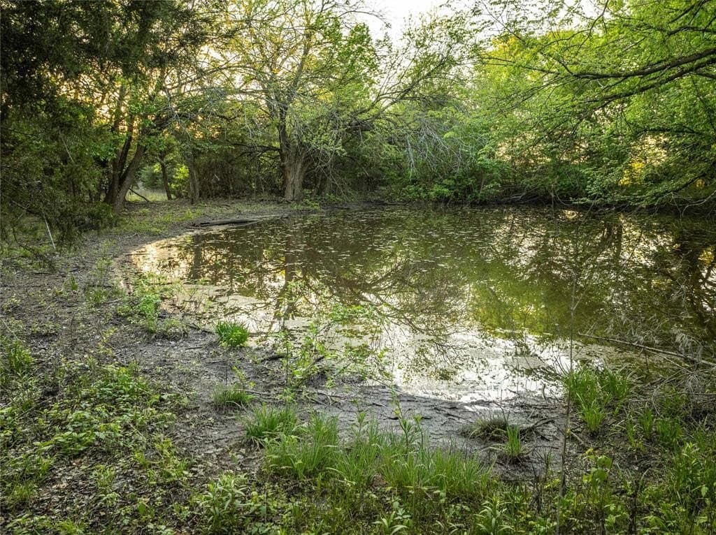 12.1 acres in Grayson County - photo 5