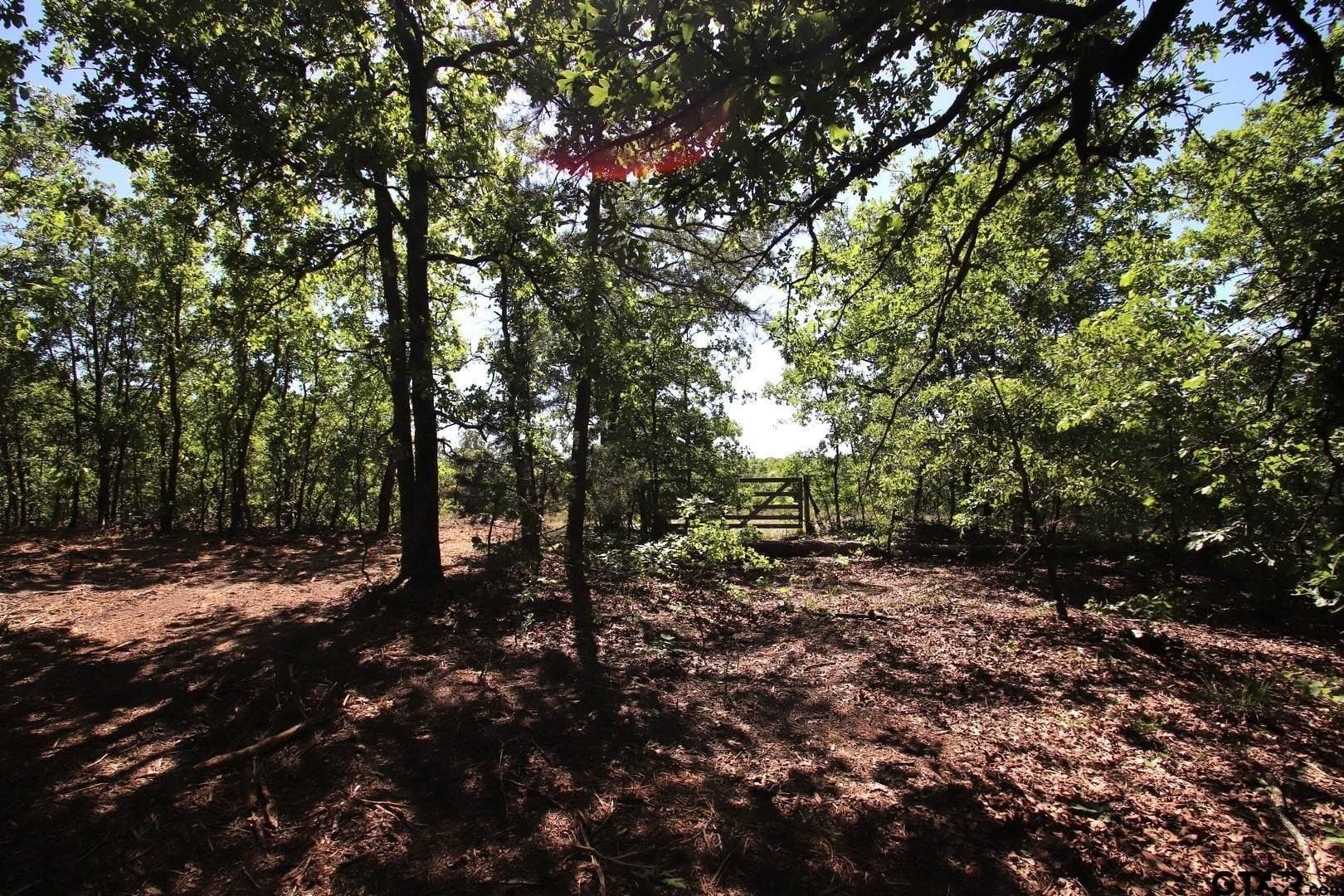 59.08 acres in Wood County - photo 42