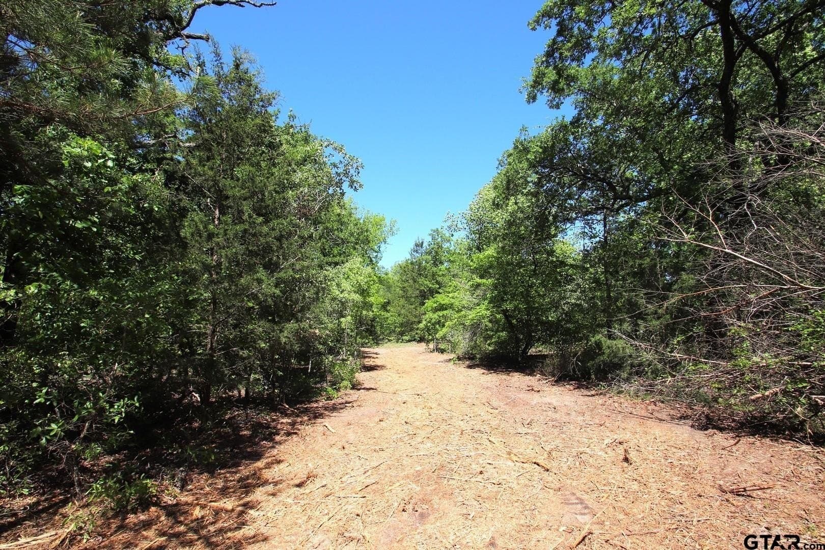 59.08 acres in Wood County - photo 4