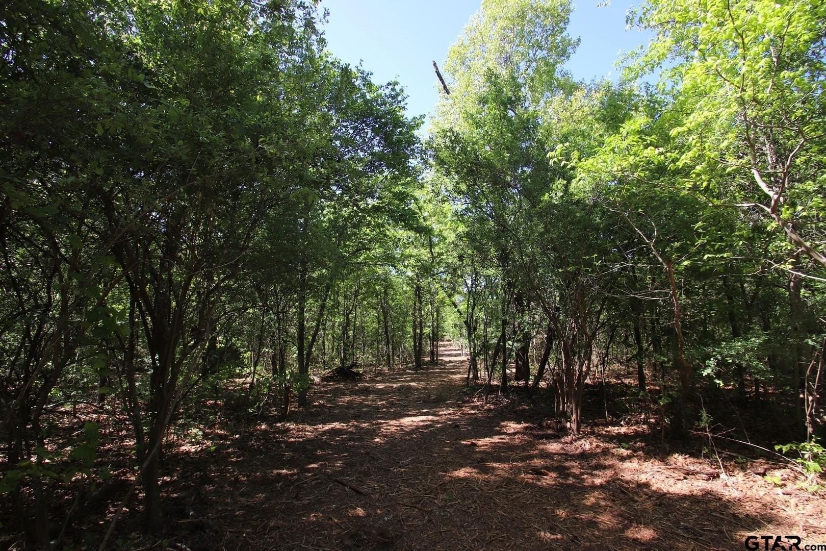 59.08 acres in Wood County - photo 15