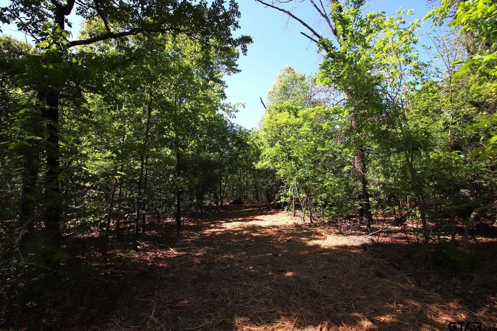 59.08 acres in Wood County - photo 14