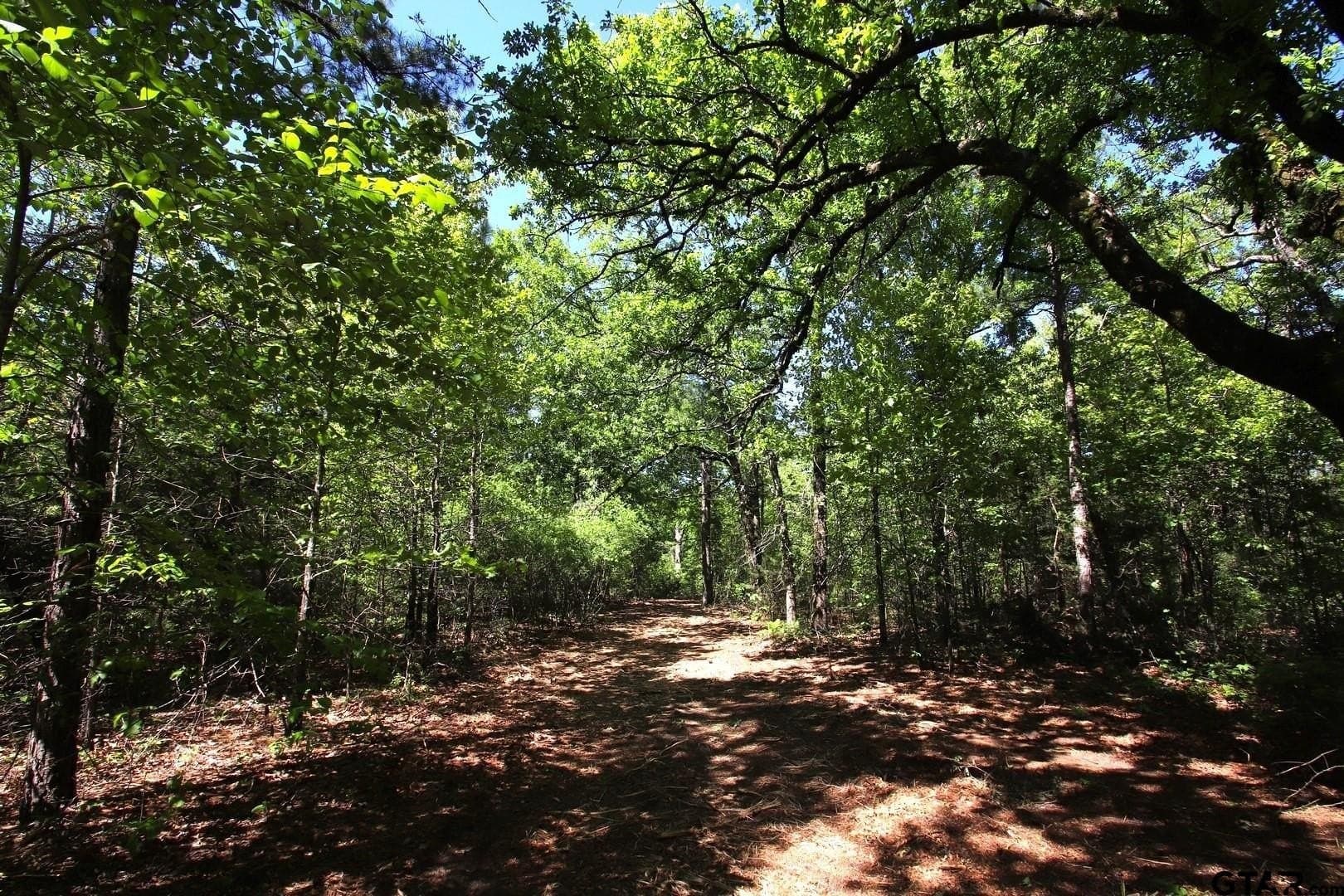 59.08 acres in Wood County - photo 8