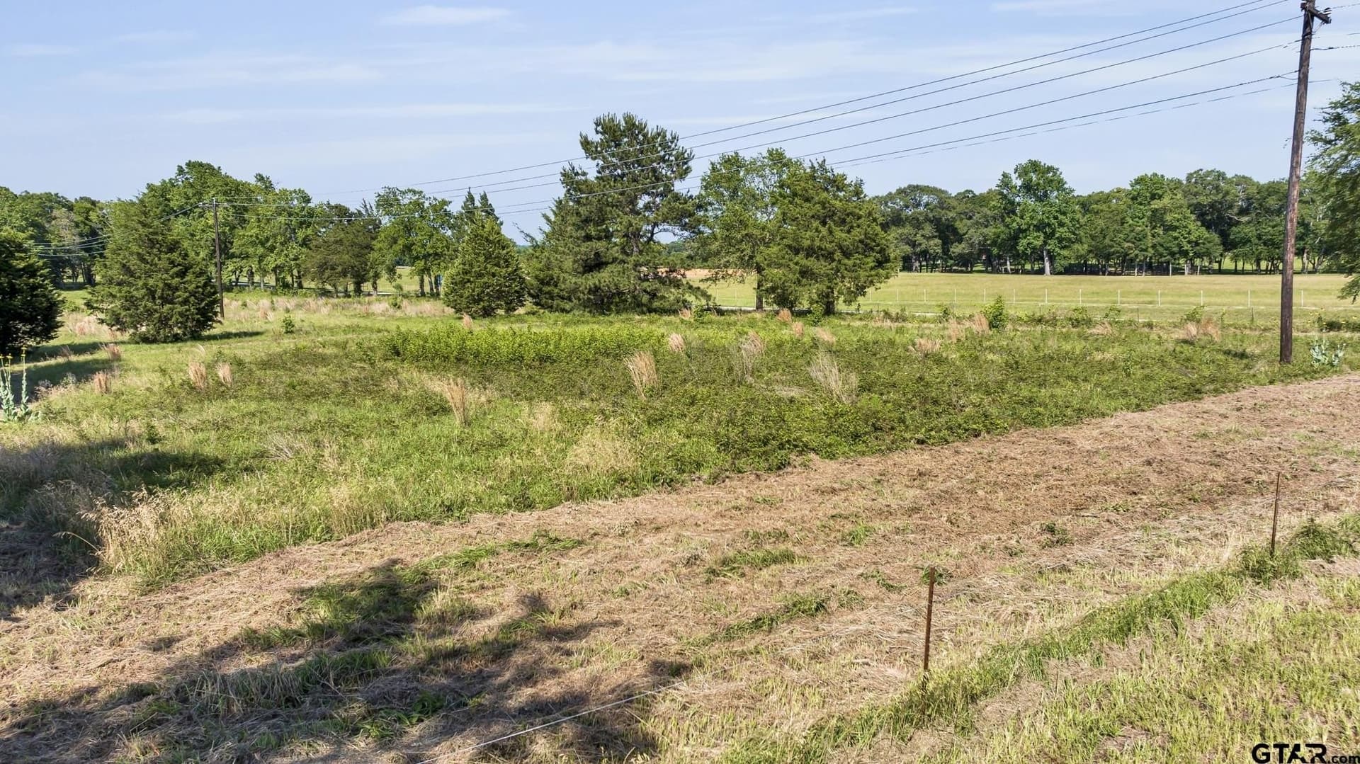 4 acres in Smith County - photo 8