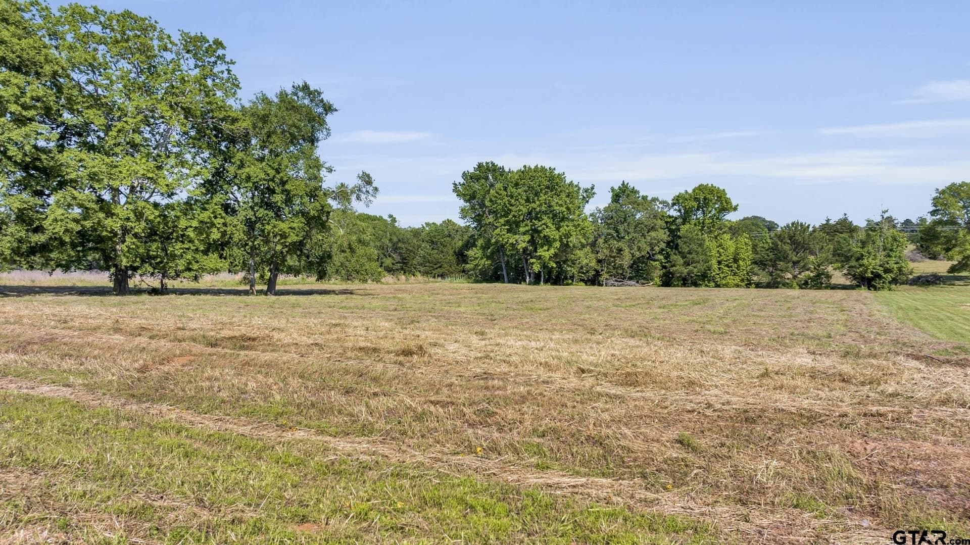 4 acres in Smith County - photo 5
