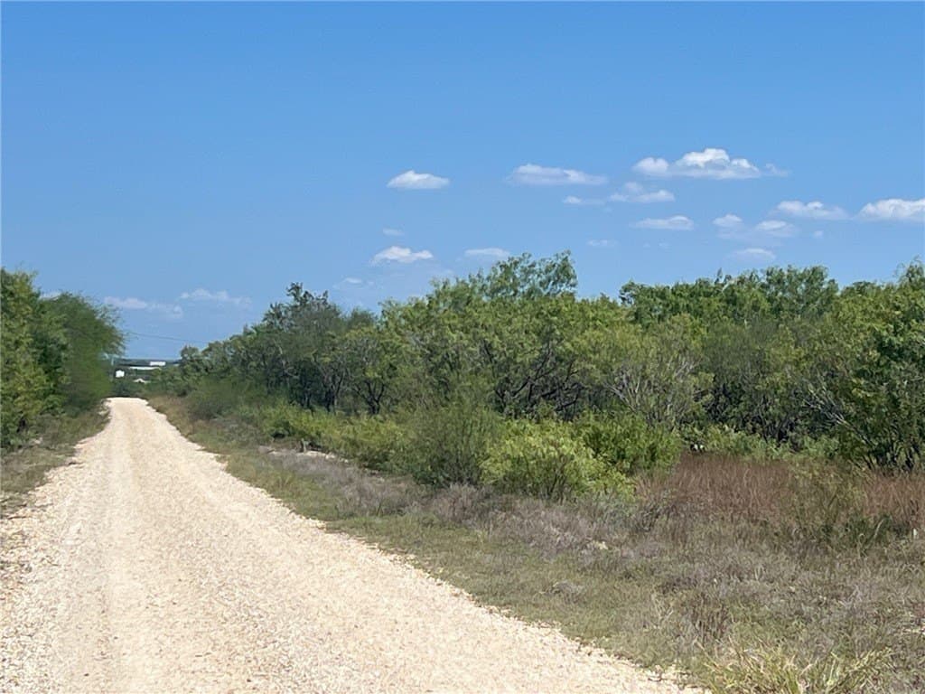 1.08 acres in Live Oak County - photo 2