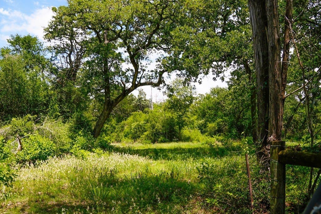 40 acres in Fayette County - photo 23