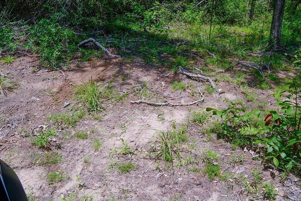 40 acres in Fayette County - photo 13