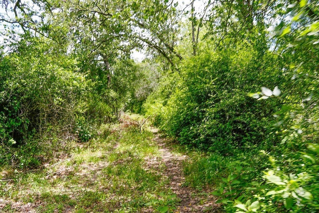 40 acres in Fayette County - photo 29